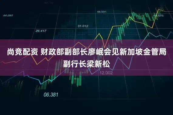 尚竞配资 财政部副部长廖岷会见新加坡金管局副行长梁新松